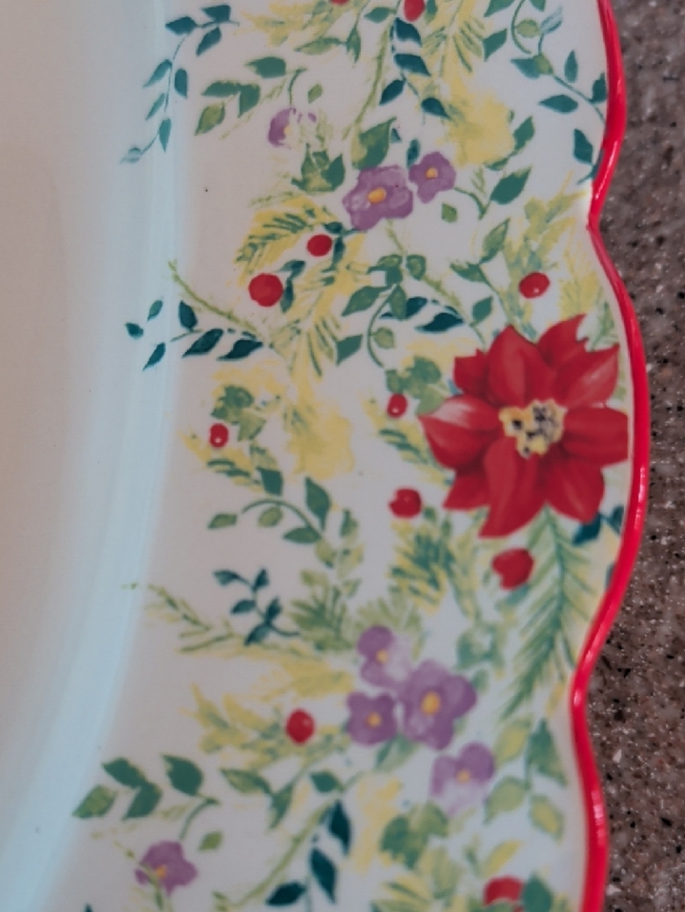 Pioneer Woman Holiday Turkey, Ham Or Veggie Oval Serving Platter.๐๐๐ - Picture 2 of 14